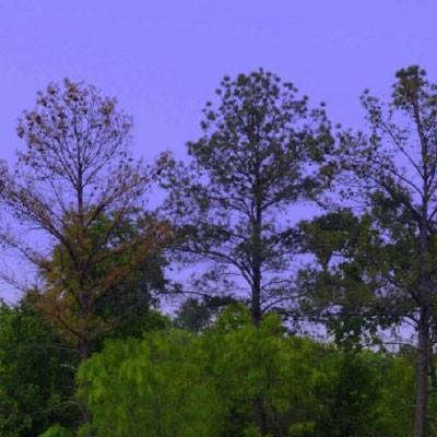 爱游戏体育下载